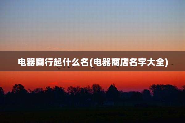 电器商行起什么名(电器商店名字大全)
