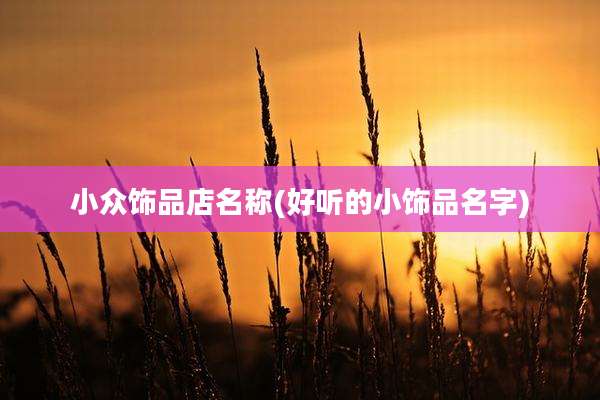 小众饰品店名称(好听的小饰品名字)