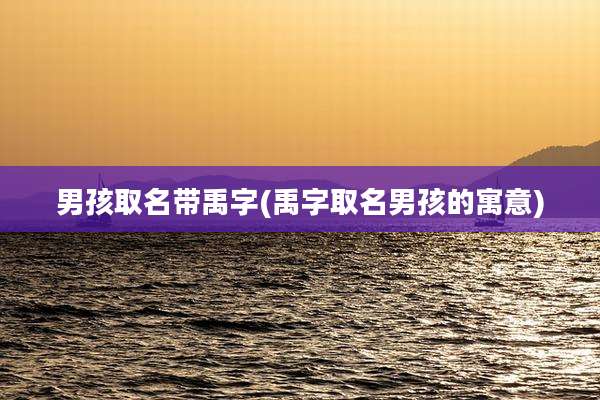男孩取名带禹字(禹字取名男孩的寓意)