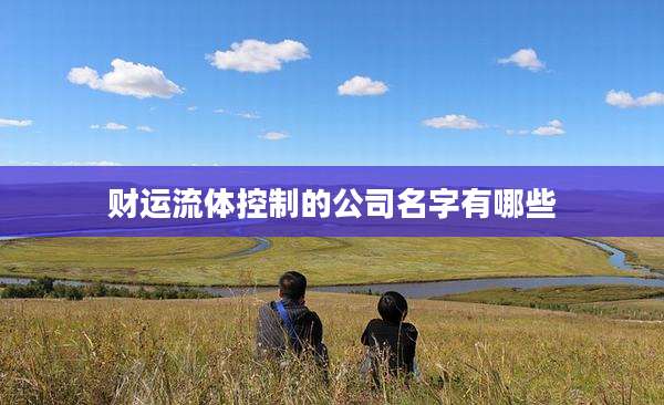 财运流体控制的公司名字有哪些