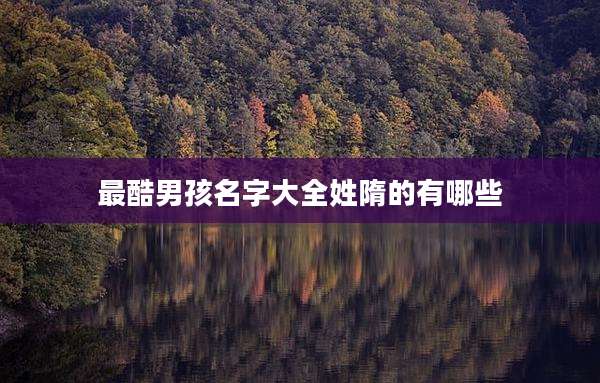 最酷男孩名字大全姓隋的有哪些