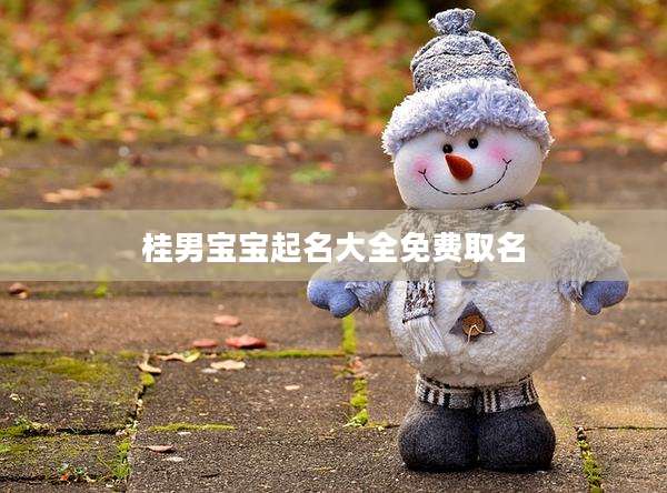 桂男宝宝起名大全免费取名