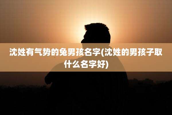 沈姓有气势的兔男孩名字(沈姓的男孩子取什么名字好)