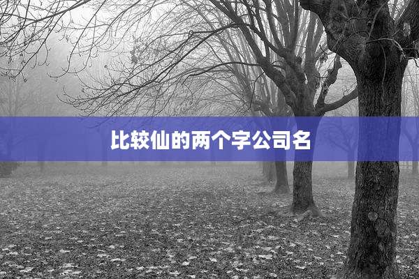 比较仙的两个字公司名