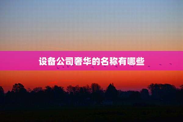 设备公司奢华的名称有哪些