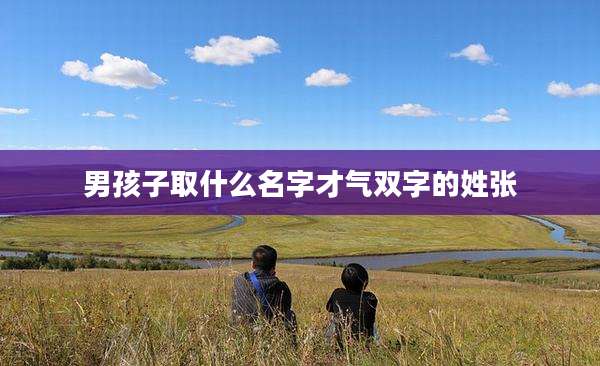 男孩子取什么名字才气双字的姓张