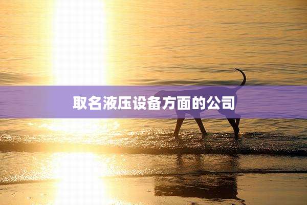 取名液压设备方面的公司