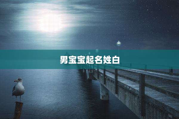 男宝宝起名姓白