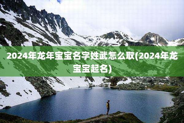 2024年龙年宝宝名字姓武怎么取(2024年龙宝宝起名)