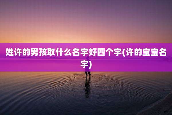 姓许的男孩取什么名字好四个字(许的宝宝名字)