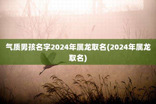 气质男孩名字2024年属龙取名(2024年属龙取名)