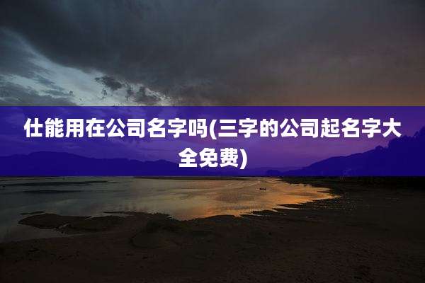 仕能用在公司名字吗(三字的公司起名字大全免费)