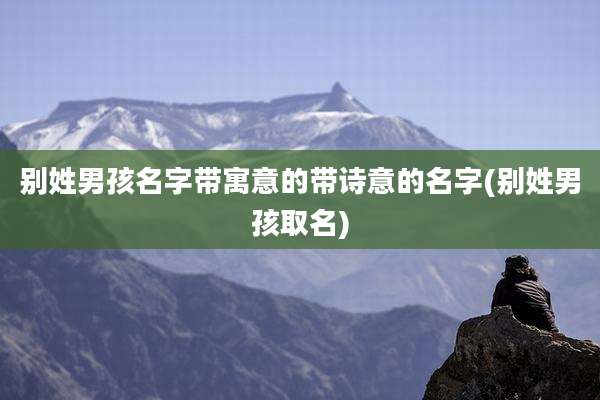 别姓男孩名字带寓意的带诗意的名字(别姓男孩取名)