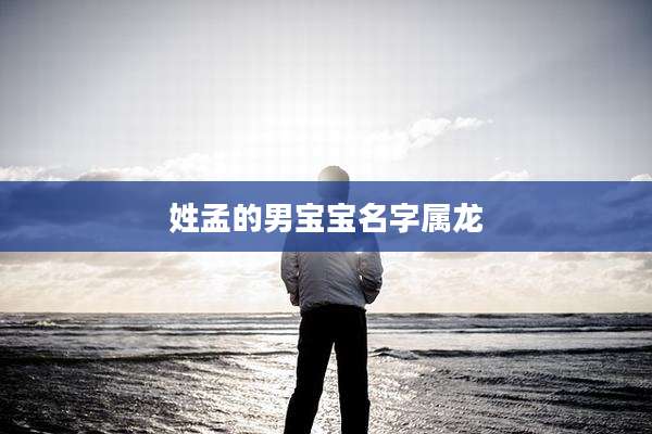 姓孟的男宝宝名字属龙