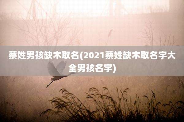 蔡姓男孩缺木取名(2021蔡姓缺木取名字大全男孩名字)