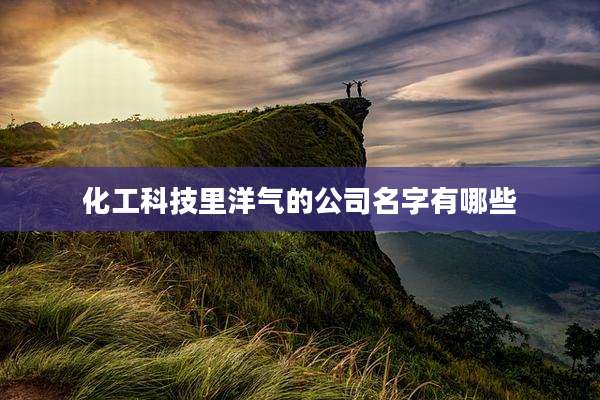 化工科技里洋气的公司名字有哪些