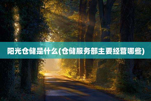 阳光仓储是什么(仓储服务部主要经营哪些)