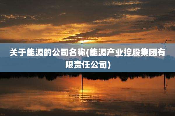 关于能源的公司名称(能源产业控股集团有限责任公司)