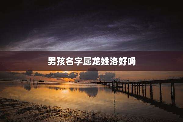 男孩名字属龙姓洛好吗