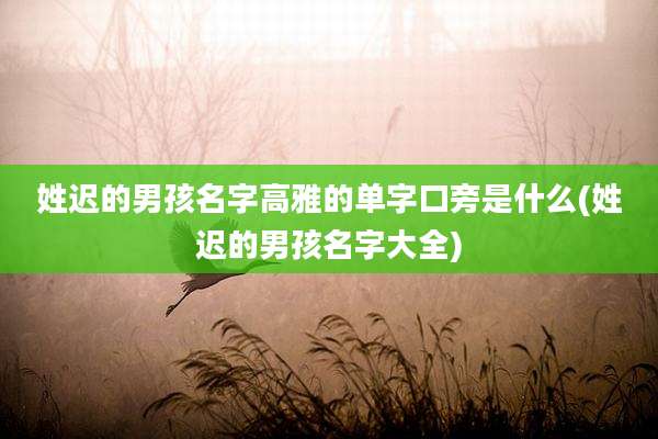 姓迟的男孩名字高雅的单字口旁是什么(姓迟的男孩名字大全)