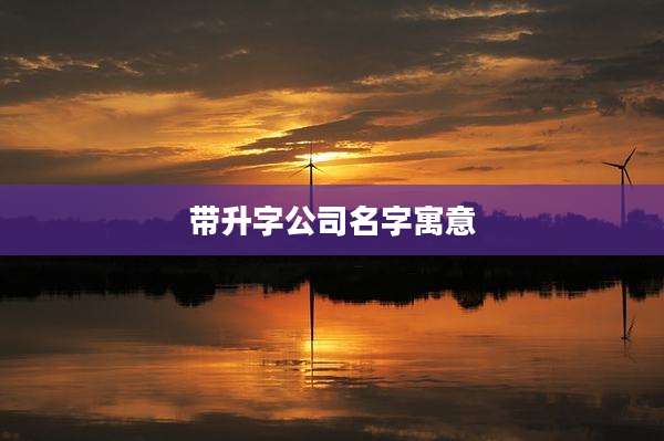 带升字公司名字寓意