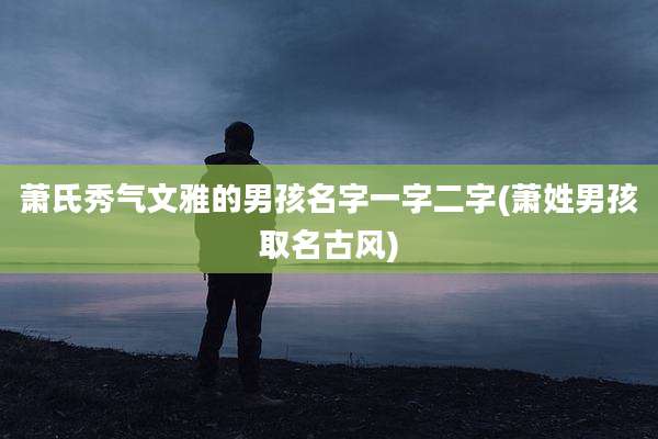 萧氏秀气文雅的男孩名字一字二字(萧姓男孩取名古风)