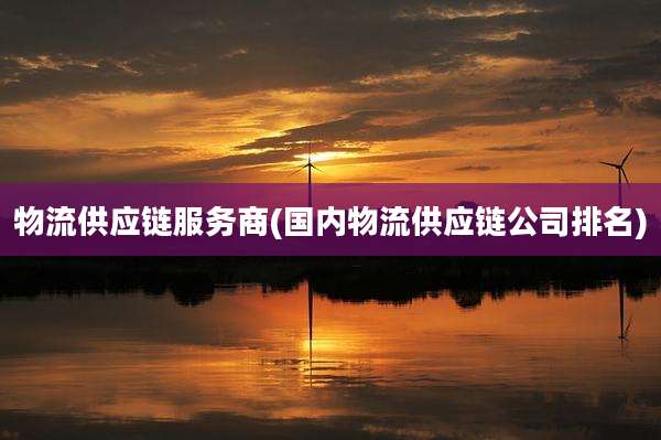 物流供应链服务商(国内物流供应链公司排名)