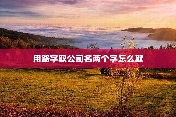 用路字取公司名两个字怎么取