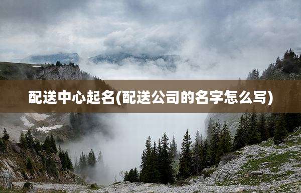 配送中心起名(配送公司的名字怎么写)
