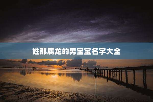 姓那属龙的男宝宝名字大全