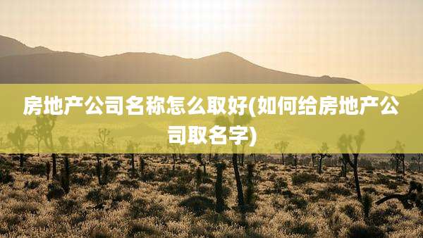 房地产公司名称怎么取好(如何给房地产公司取名字)
