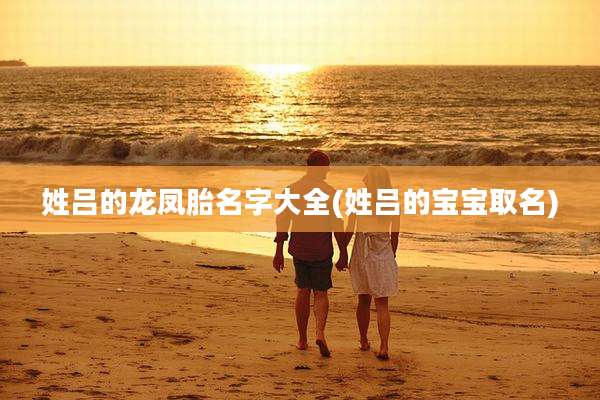 姓吕的龙凤胎名字大全(姓吕的宝宝取名)