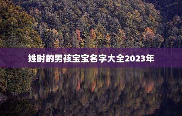 姓时的男孩宝宝名字大全2023年