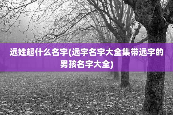 远姓起什么名字(远字名字大全集带远字的男孩名字大全)