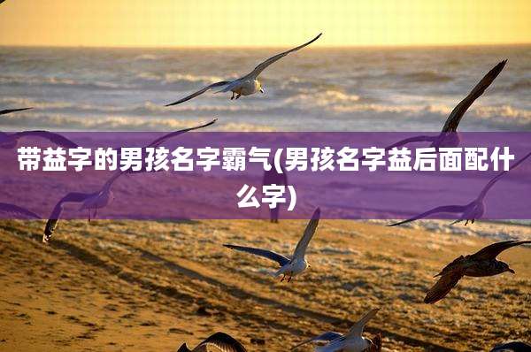 带益字的男孩名字霸气(男孩名字益后面配什么字)