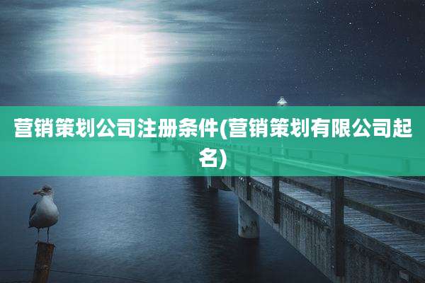 营销策划公司注册条件(营销策划有限公司起名)