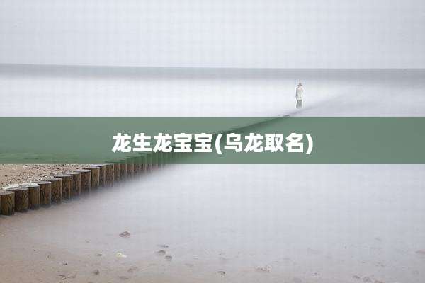 龙生龙宝宝(乌龙取名)