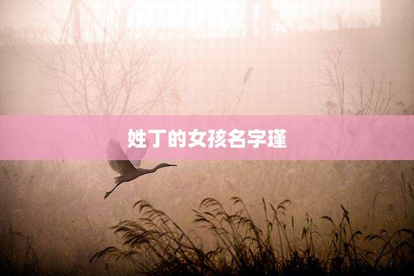 姓丁的女孩名字瑾