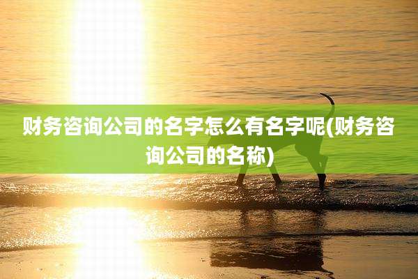 财务咨询公司的名字怎么有名字呢(财务咨询公司的名称)
