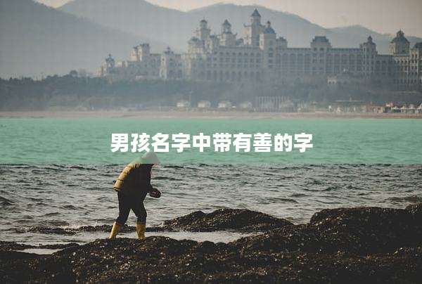 男孩名字中带有善的字