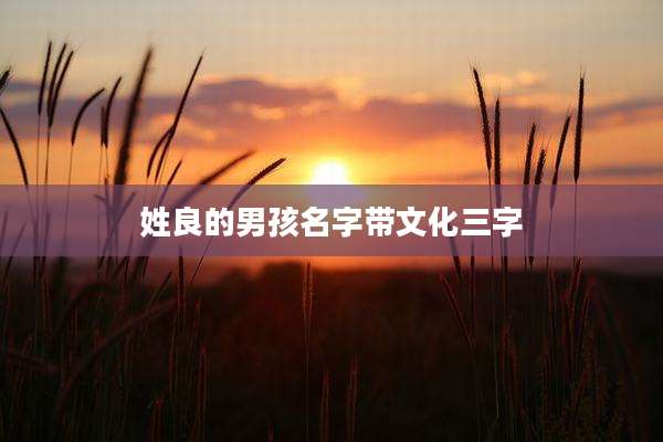 姓良的男孩名字带文化三字