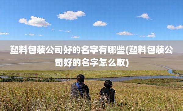 塑料包装公司好的名字有哪些(塑料包装公司好的名字怎么取)