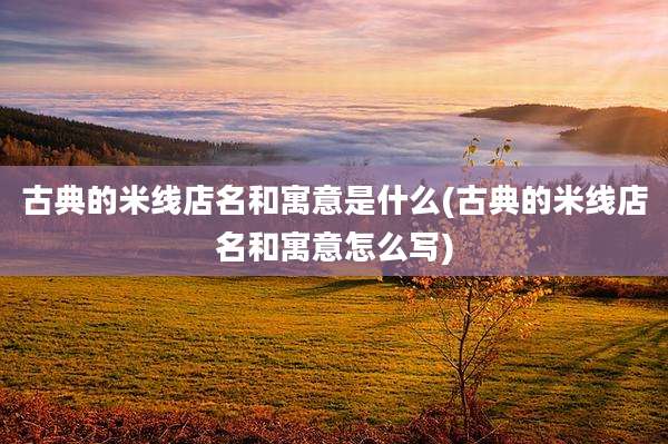 古典的米线店名和寓意是什么(古典的米线店名和寓意怎么写)