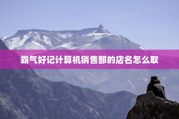 霸气好记计算机销售部的店名怎么取