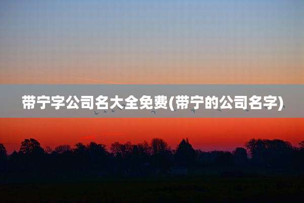 带宁字公司名大全免费(带宁的公司名字)