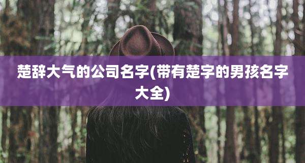 楚辞大气的公司名字(带有楚字的男孩名字大全)