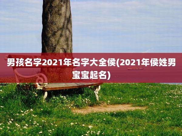 男孩名字2021年名字大全侯(2021年侯姓男宝宝起名)