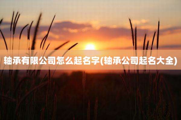 轴承有限公司怎么起名字(轴承公司起名大全)