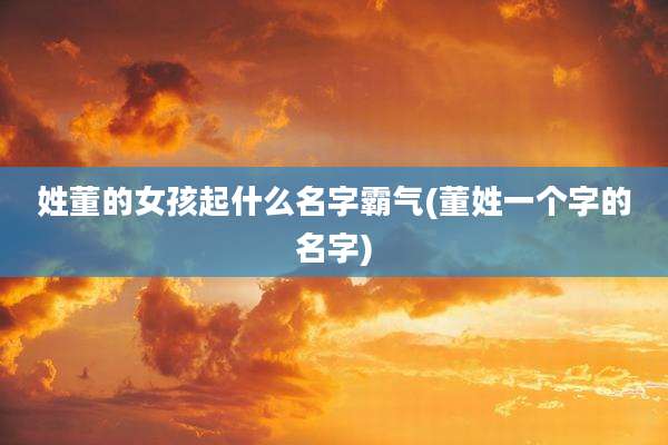 姓董的女孩起什么名字霸气(董姓一个字的名字)