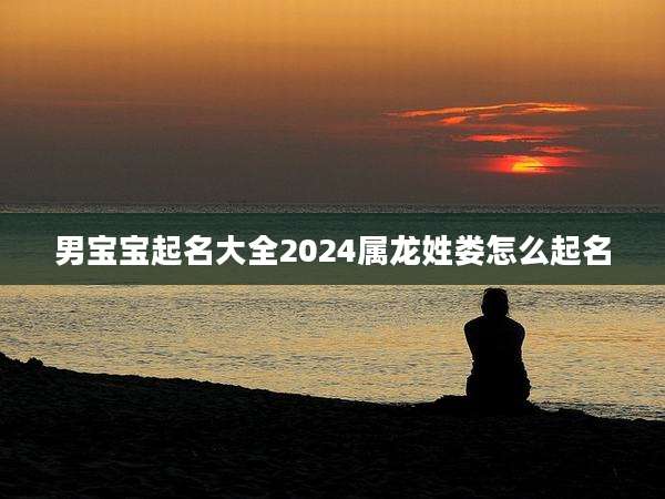 男宝宝起名大全2024属龙姓娄怎么起名